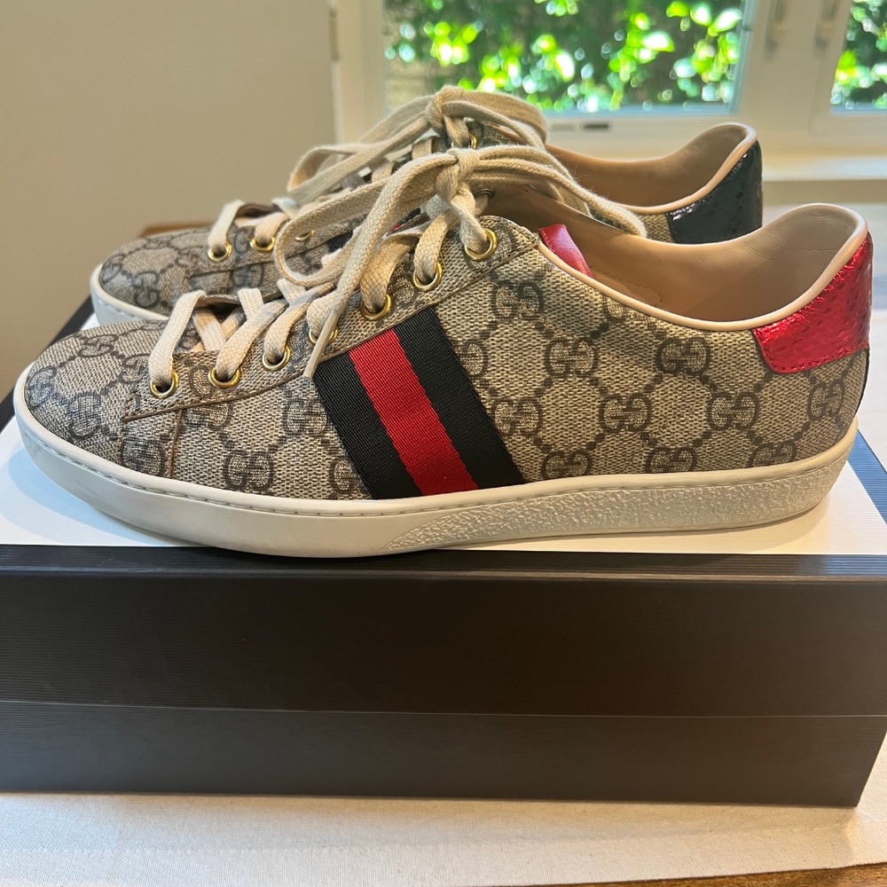 Gucci sneakers